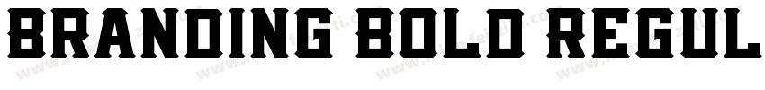 Branding Bold Regul字体转换